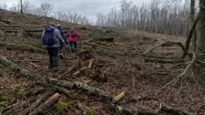 Lire la suite à propos de l’article Reconnaissance Randonnée autour du Bois des Mothes